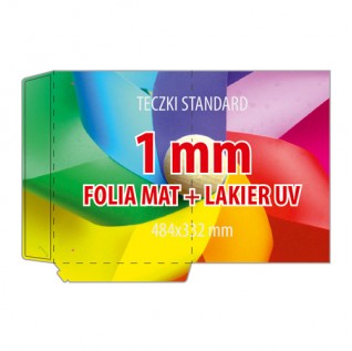 Teczka 1mm FL - 500 sztuk