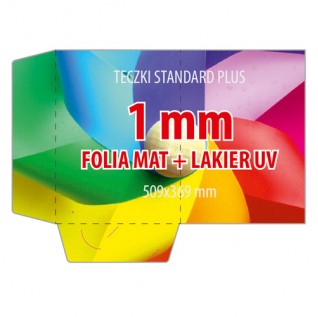 Teczka PLUS 1mm FL - 100 sztuk
