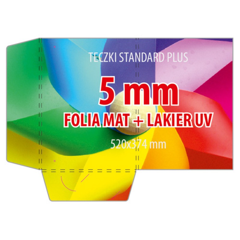 Teczka PLUS 5 mm FL - 500 sztuk