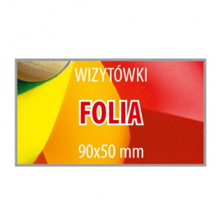 Wizytówka 90x50 F - 250 sztuk