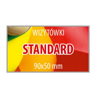 Wizytówka 90x50 S - 250 sztuk